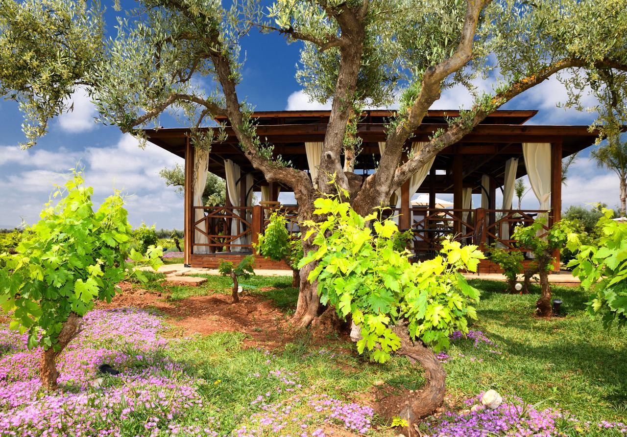 Chateau Roslane Boutique Hotel & Spa Meknès Esterno foto