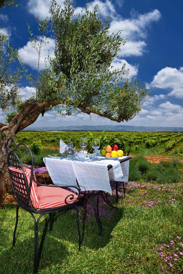 Chateau Roslane Boutique Hotel & Spa Meknès Esterno foto